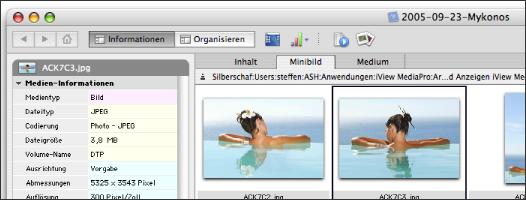 textexpander for mac missing the program textexpander for mac missing the program